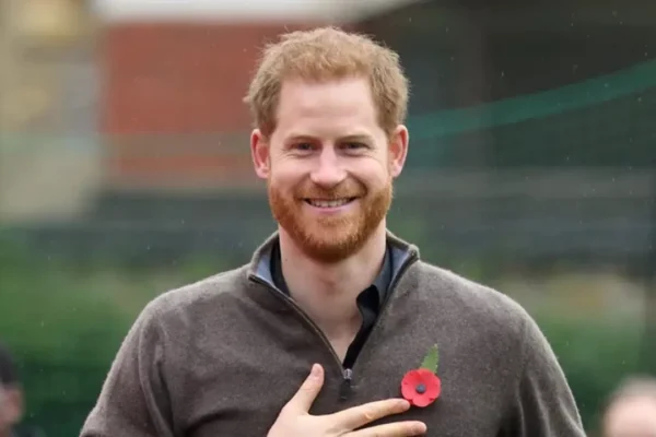 prince harry net worth